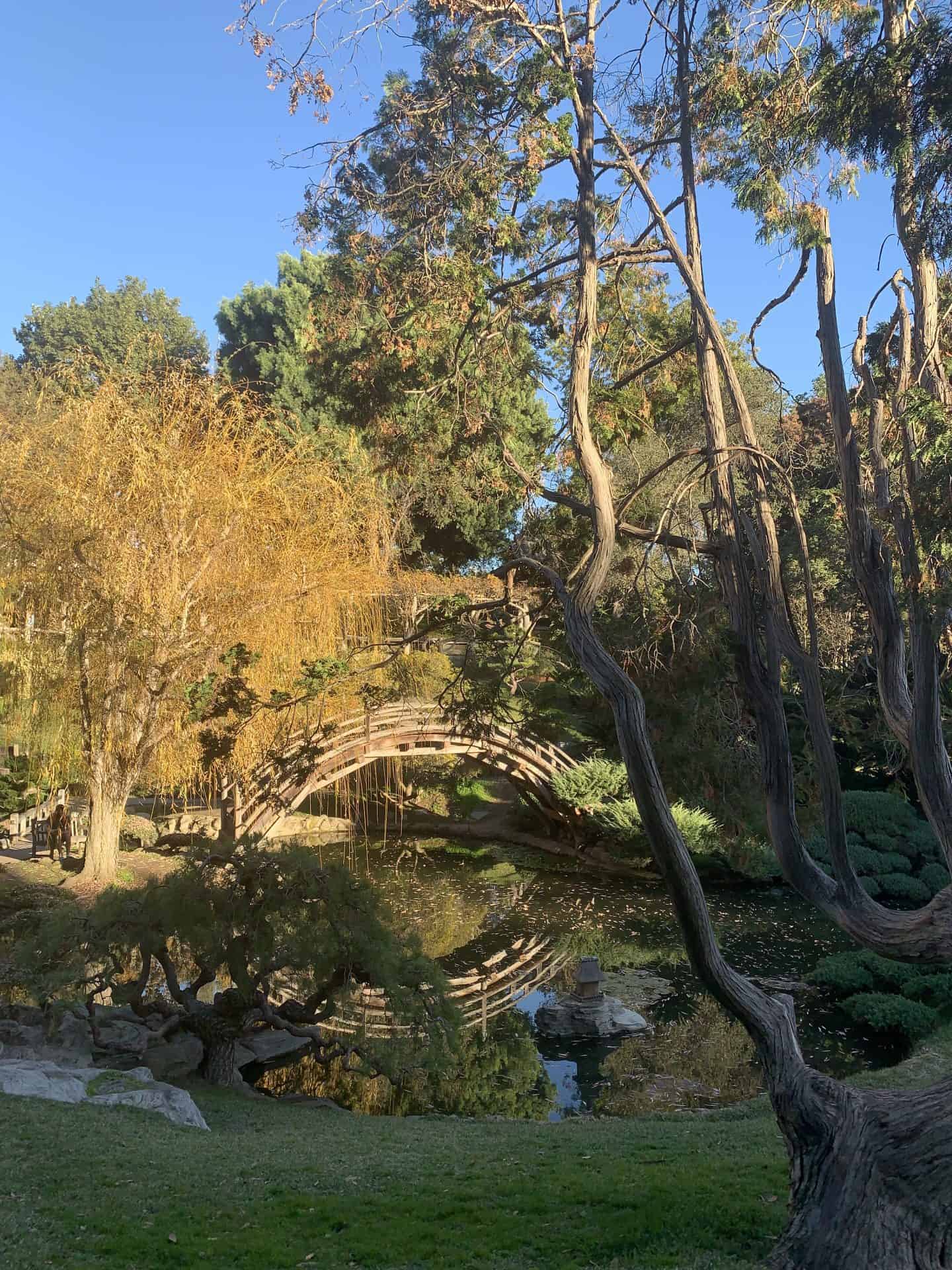 A bridge in Huntington Botanical Garden, Los Angeles
