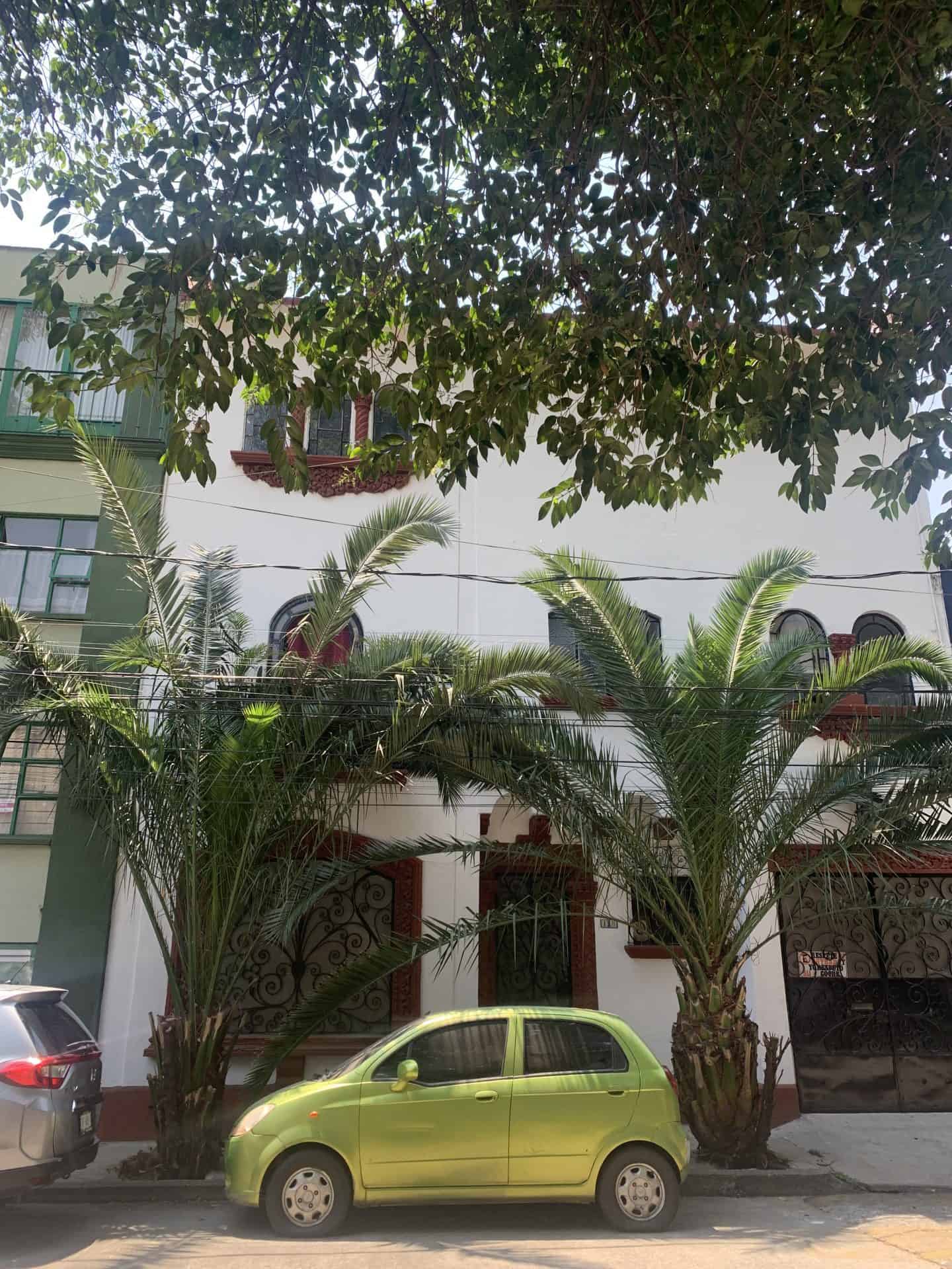 A white building lined with palm trees in Mexico City