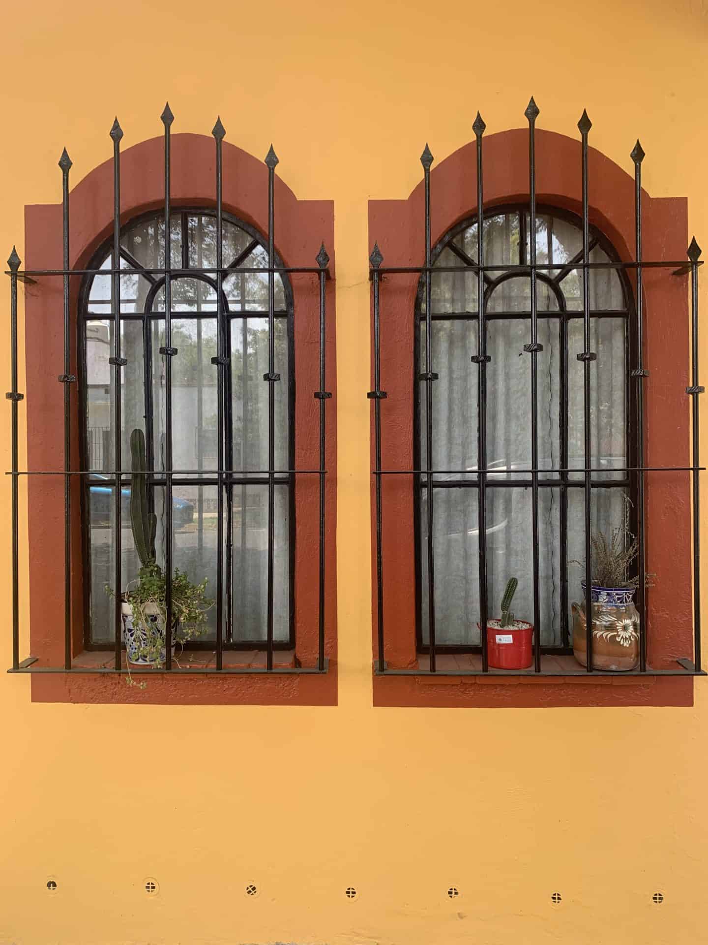 A yellow wall with brown-bordered windows and cacti on the window sills in Mexico City