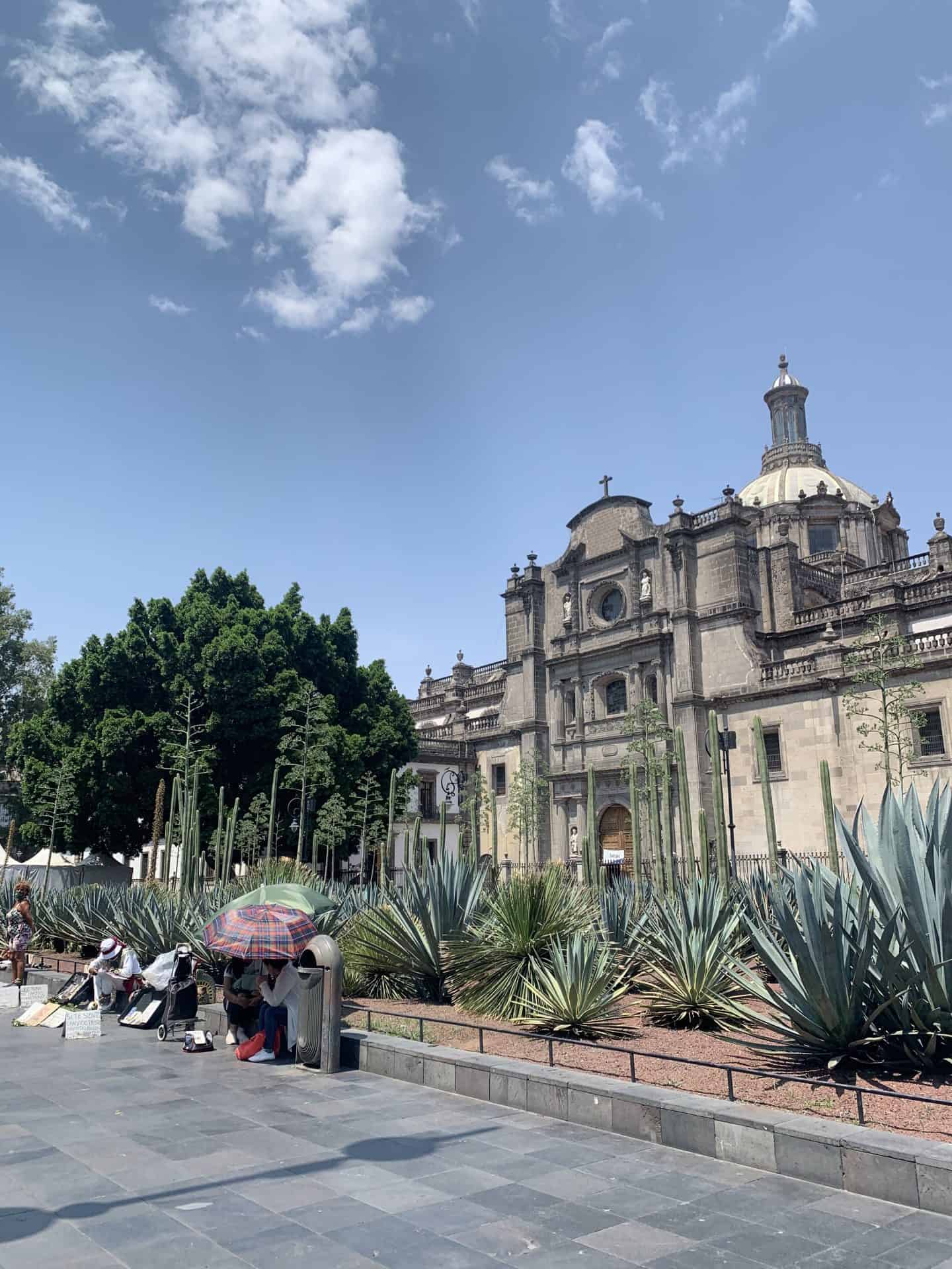 A street lined with agave plants and a historic church behind it in Mexico City