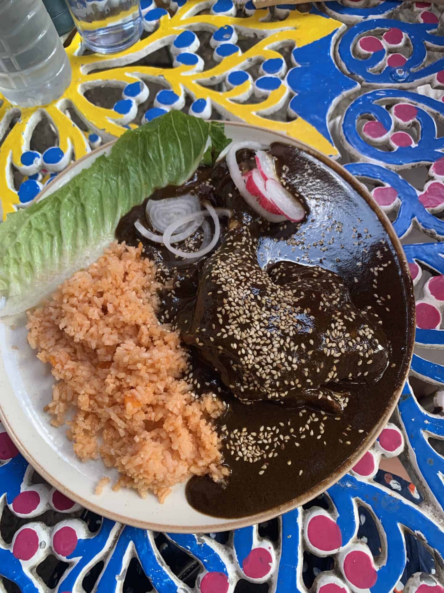 A closeup of a plate of mole and rice in Mexico