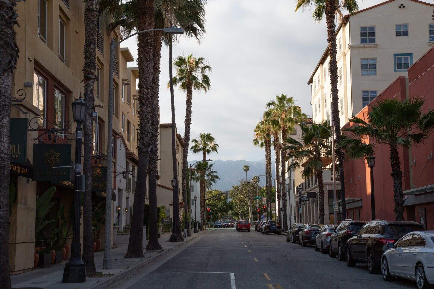 A street in Pasadena, with palm trees lining the street, and cars parked on the right side. The mountains are sightly visible at the end of the street, and it is nearly sunset.
