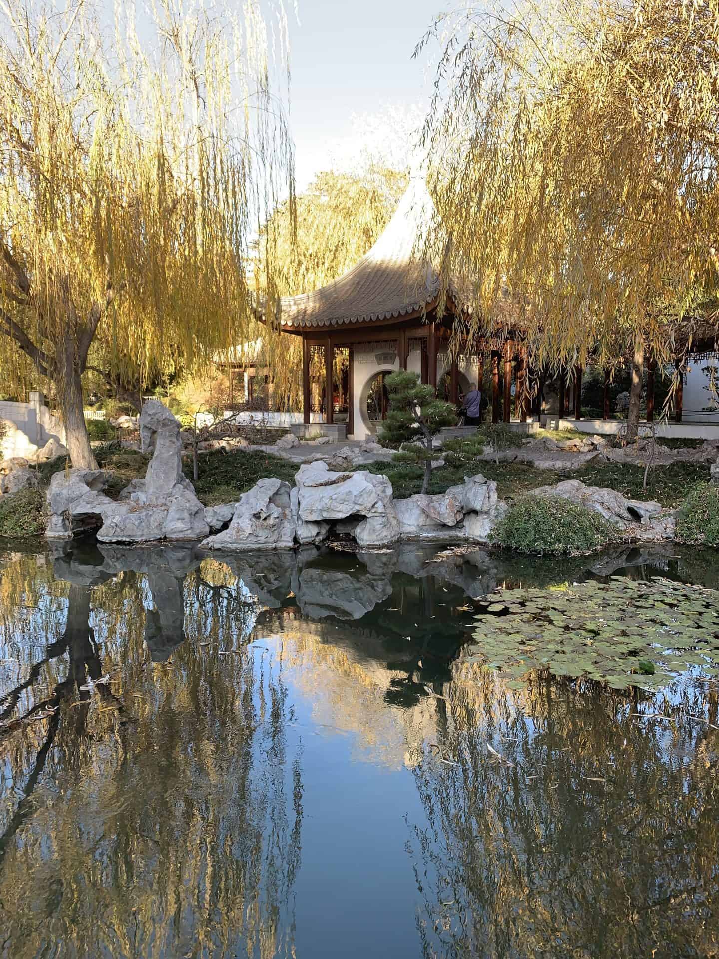 A Japanese garden with a traditional building on the edge of a lake, with water lilies in the water. Yellow trees surround the building in Huntington Botanical Gardens, a great place to visit in Pasadena.