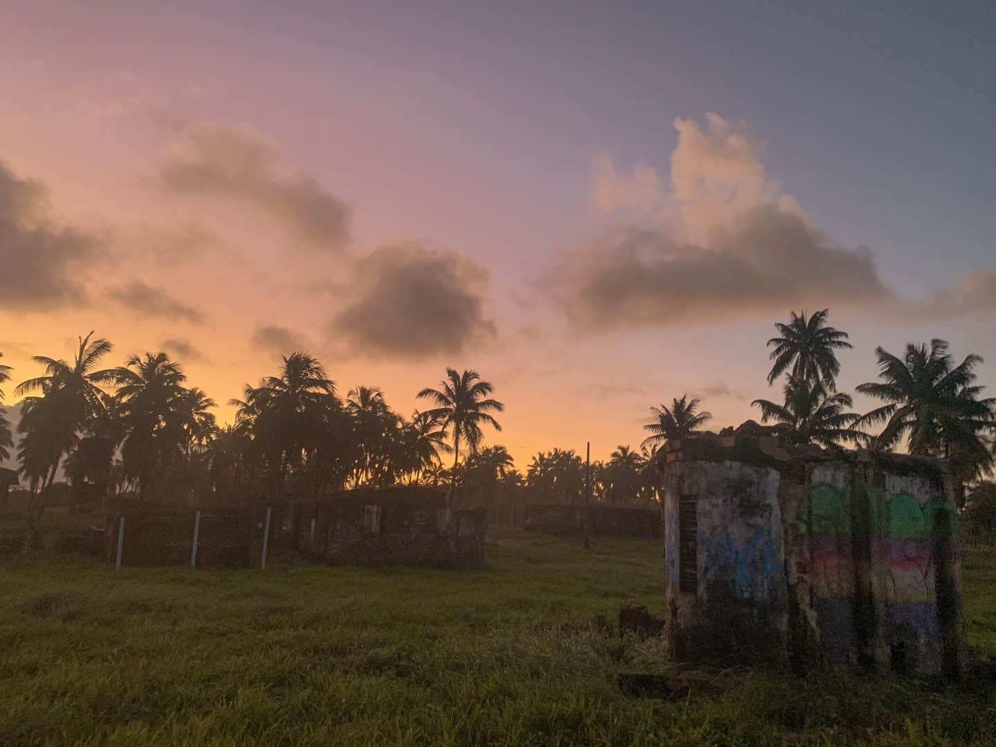 A pink sunset over palm trees and grass in Porto de Galinhas, Brazil.