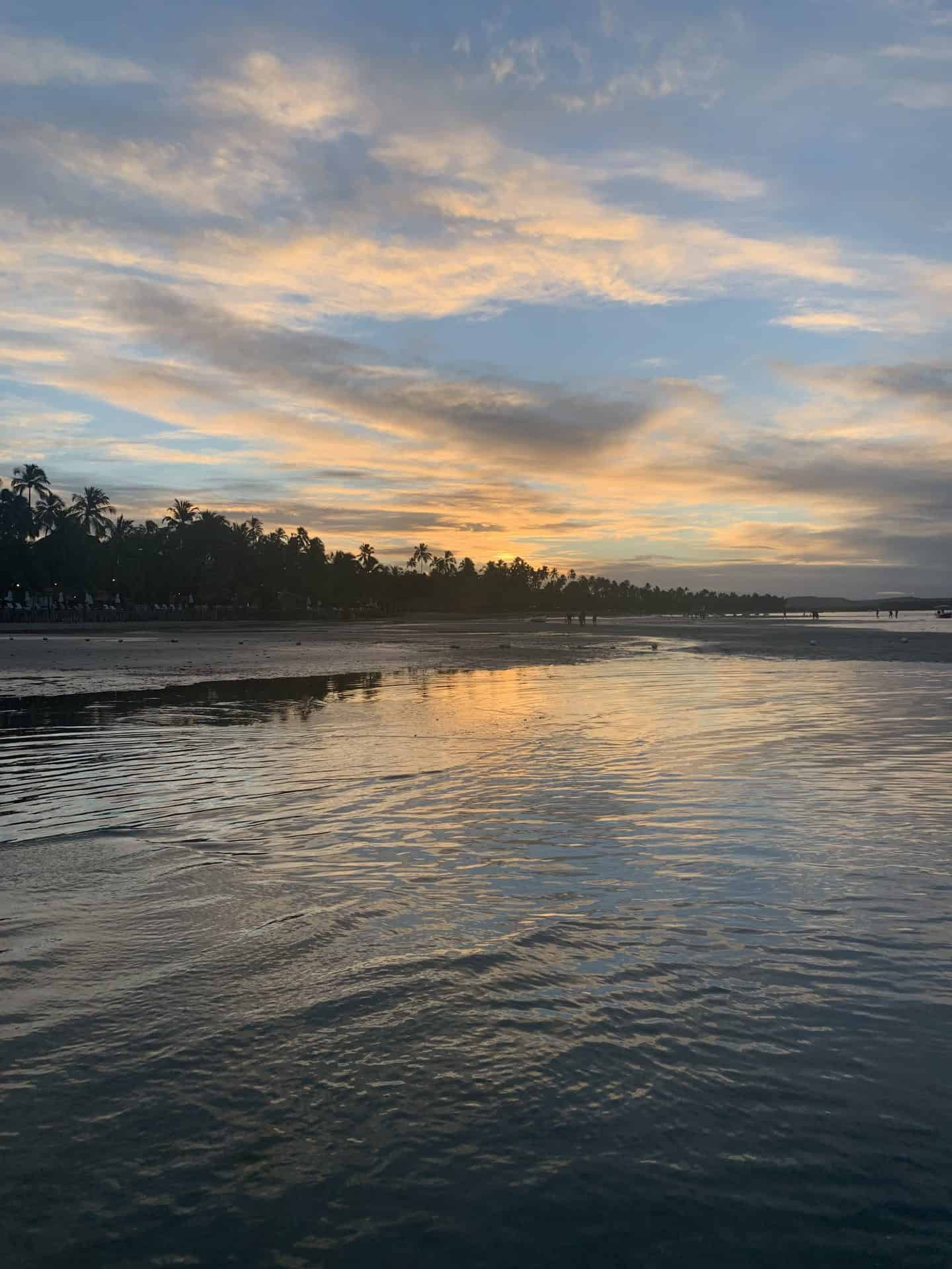 The sunset over a beach with palm trees behind the sand at Carneiros Beach in Pernambuco, Brazil.