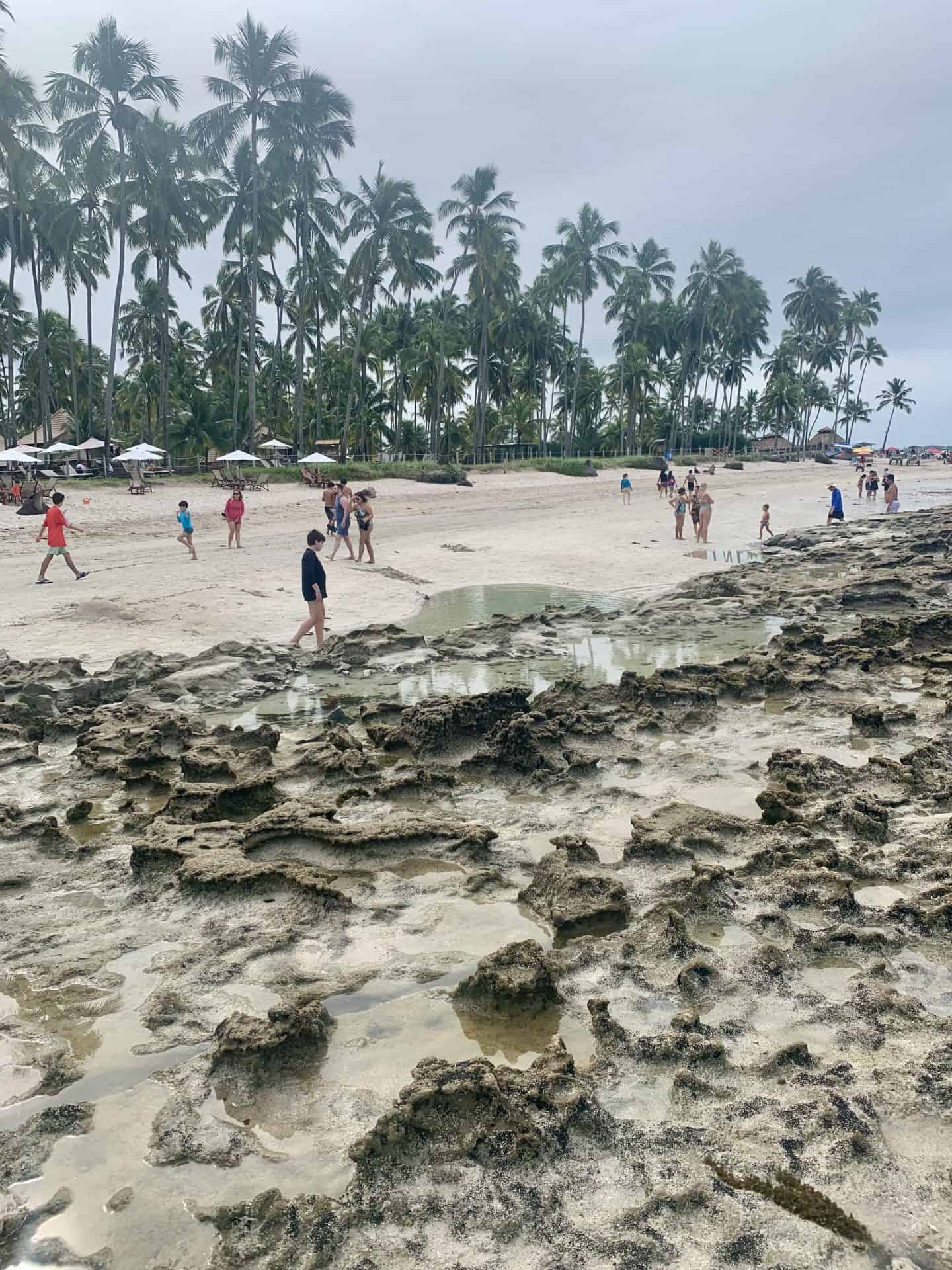The reef on the beach in Porto de Galinhas during a rainy day. People walk behind the reef on the sand with palm trees behind the sand.