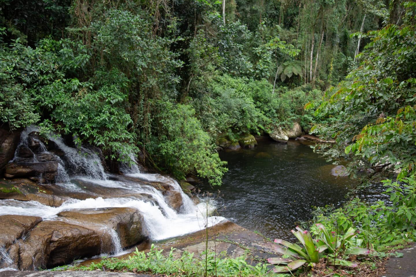 A waterfall in Paraty, Brazil.
