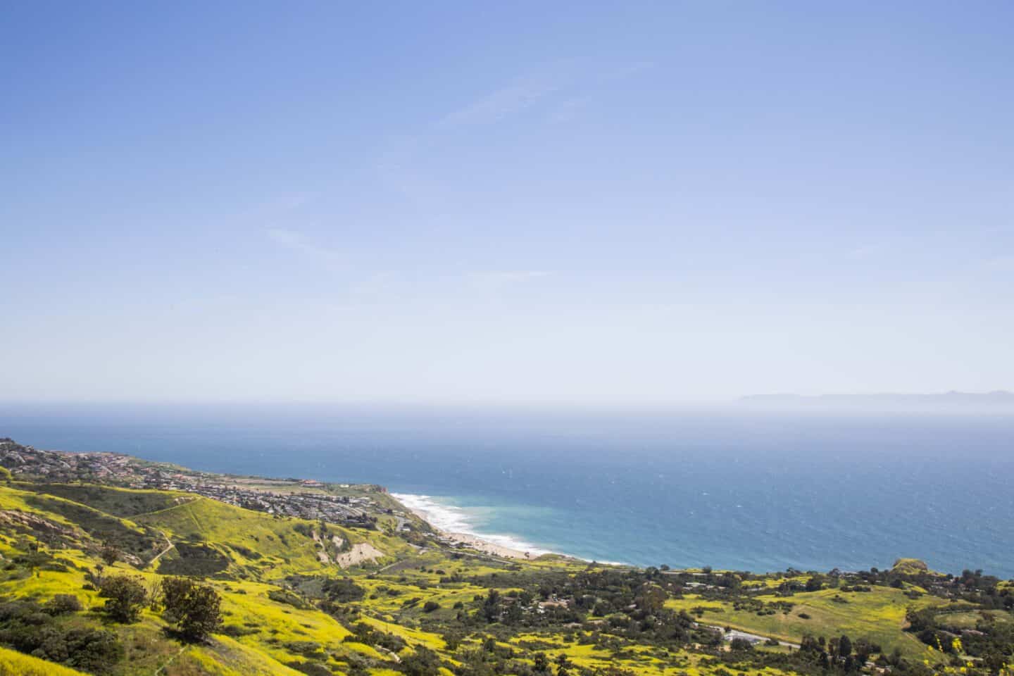 Yellow wildflowers cover the land overlooking the ocean during springtime in Palos Verdes Peninsula.