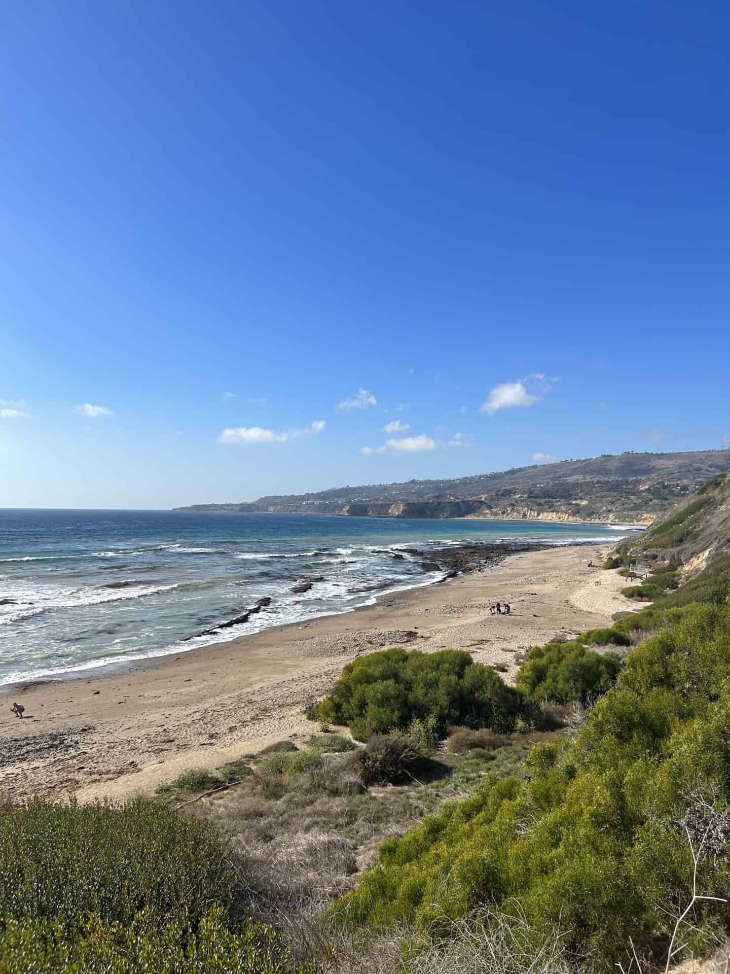 Green trees overlooking the Portuguese Bend beach in Palos Verdes, Los Angeles County.